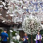 Fuensanta 19 Apartamento Córdova