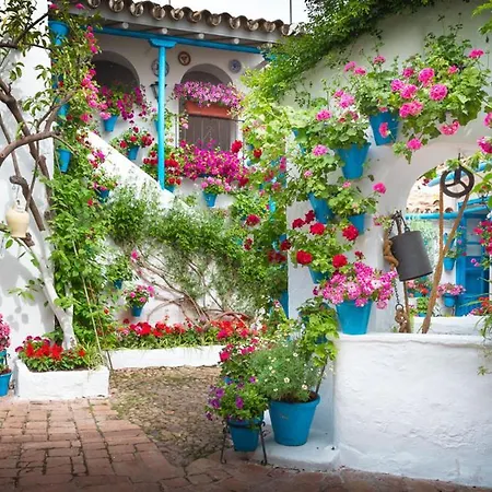 Fuensanta 19 Córdoba