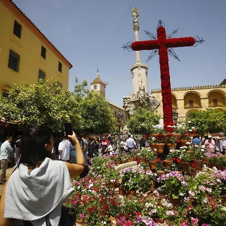 Apartamento Fuensanta 19